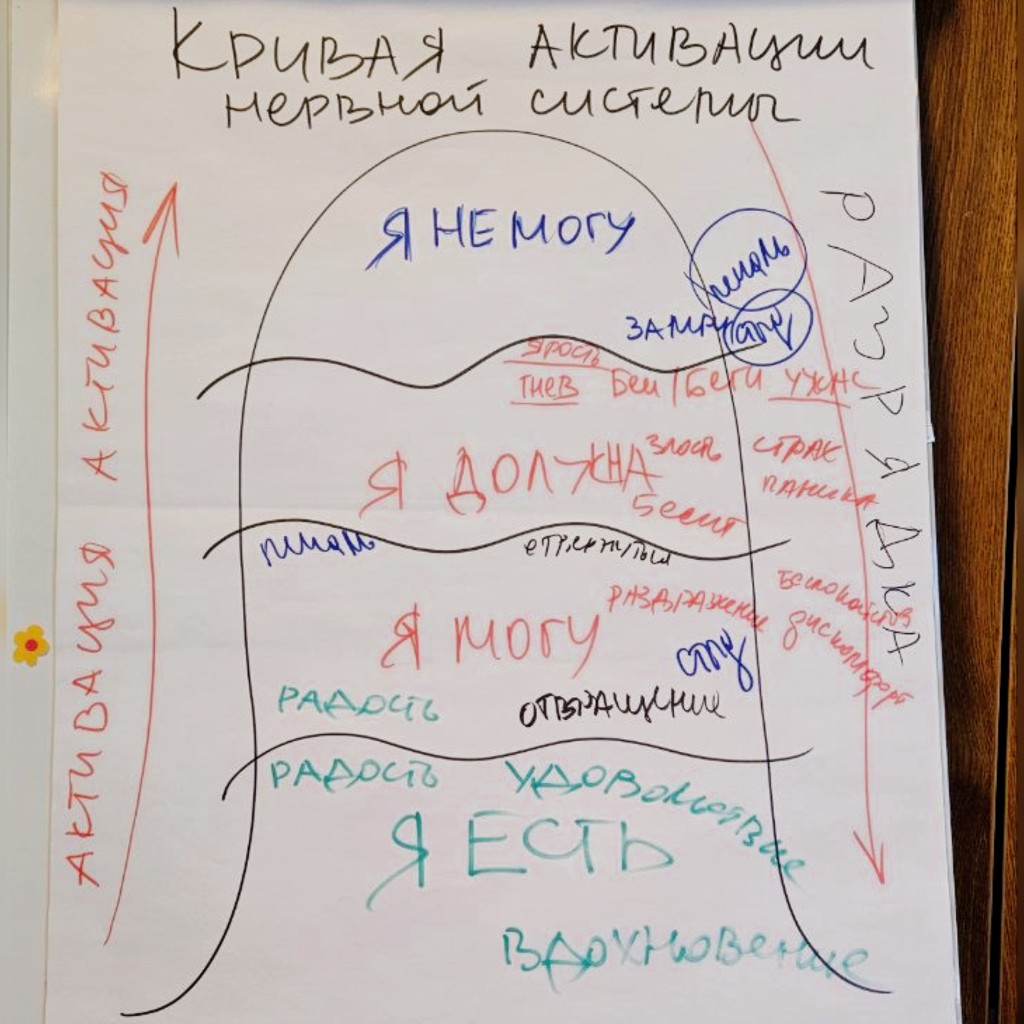 Krzywa aktywacji układu nerwowego — materiał ze spotkania KOŁO ŻYCIA